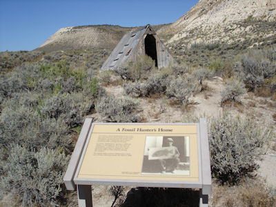 NPS Image