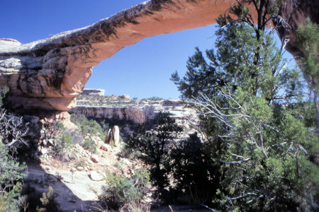 NPS Image