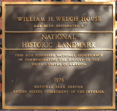 Plaque