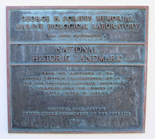 Plaque