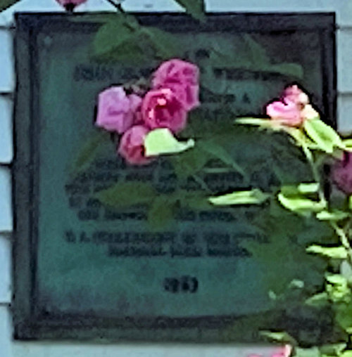 Plaque