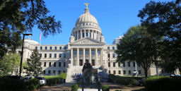 Capitol Image