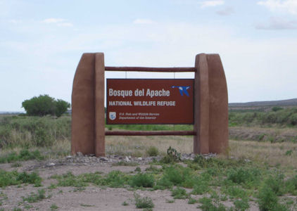 USFWS Image