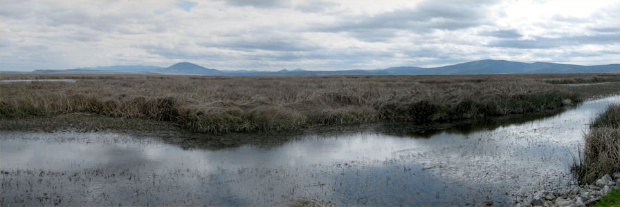 USFWS Image