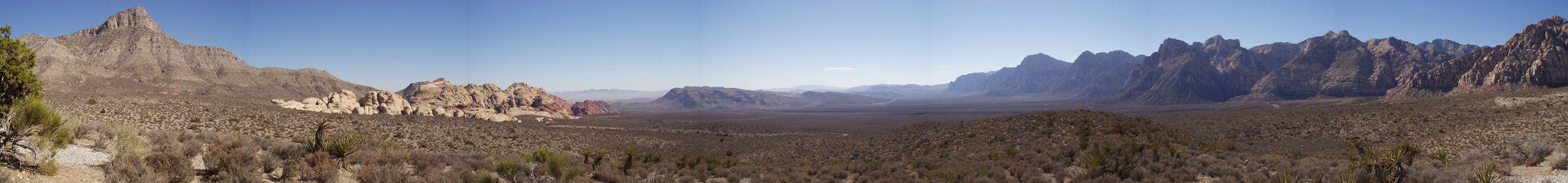 BLM Image