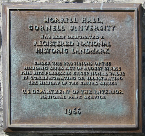 Plaque