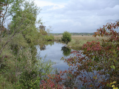 USFWS Image