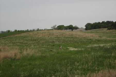 USFWS Image