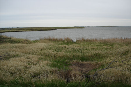 USFWS Image