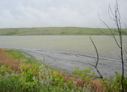 USFWS Image