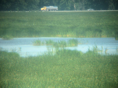 USFWS Image